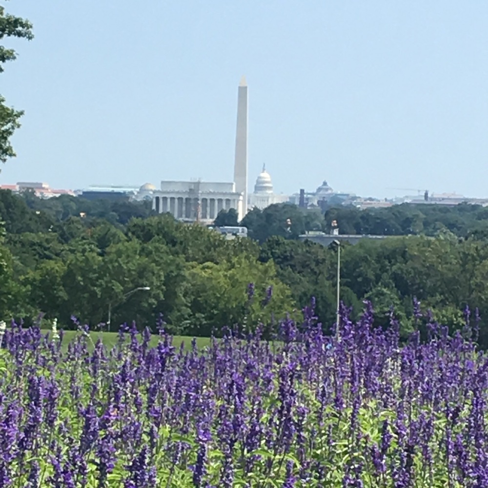 Meet your Posher, Charlotte